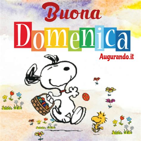 buona domenica buongiorno immagini|buona domenica divertente.